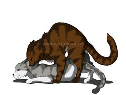 brown_fur feline female feral fur grey_fur hawkfrost_(warriors) ivypool_(warriors) male mammal sex straight thathornycat warriors_(cats)