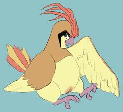 ambiguous_gender avian beak black_eyes blue_background chubby claws feet female feral nintendo no_humans open_mouth pidgeotto pokemon pokemon_rgby pussy sapphicespeons sitting sketch solo tail wings