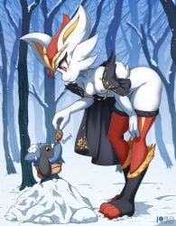 anthro cinderace cloak furry kemono larger_female pokémon_(species) pokemon pokemon_(species) rilex_lenov riolu smaller_male tagme white_fur