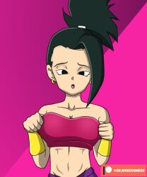 black_hair breasts dragon_ball dragon_ball_super earrings female female_focus kale kale_(dragon_ball) large_breasts solo