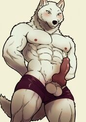 1boy 2017 abs animal_genitalia animal_penis anthro balls biceps blush canine canine_penis clothing elias_(maririn) fur male male_only mammal maririn muscular muscular_male navel nipples pecs penis shorts solo vein white_balls white_fur wolf