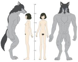 1boy 1girls 2017 5_fingers anatomically_correct anatomically_correct_penis animal_genitalia animal_penis anthro canine canine_penis claws digital_media_(artwork) digitigrade duo female fur furry hair hana hi_res hindpaw human larger_male male mammal muscular muscular_male nude ookami ookami_(wolf_children) paws penis plantigrade pubic_hair pussy short_hair simple_background size_difference smaller_female smaller_human toe_claws toes were werewolf white_background wolf wolf_children young z993126