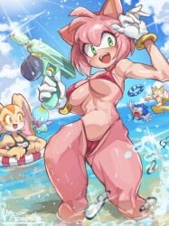 amy rose from sonic (series) by eipelppa