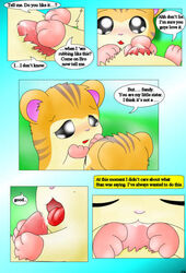 blowjob blush comic curby dialogue hamtaro_(series) penis sandy_(hamtaro) stan_(hamtaro) text