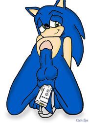 anal anal_insertion anthro front_view fur game_controller hedgehog insertion male male_only masturbation nude sega solo sonic_(series) sonic_the_hedgehog straight_hair tagme wii wiimote