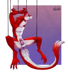 2017 anthro anus ass balls bondage bound butt_fluff erection fur looking_at_viewer male male_only mammal muzzle_(disambiguation) nude penis re-re sergal smile solo suspension