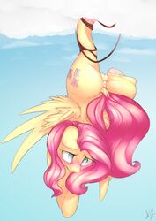 2017 angrylittlerodent anus blush cutie_mark equine feathered_wings feathers female feral fluttershy_(mlp) friendship_is_magic hair mammal my_little_pony pegasus pussy solo wings