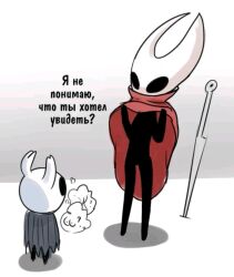 hornet (hollow knight) from hollow knight