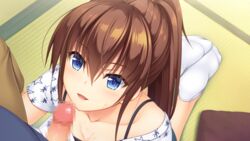 aqua_eyes asami_asami brown_hair censored game_cg hibiki_works long_hair natural_vacation penis ponytail sarashina_yuzuki socks wet