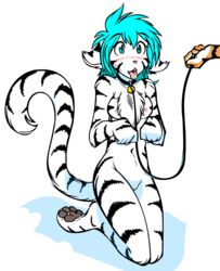 alternate_color anthro barefoot blue_eyes blue_hair blush bound breasts casual_nudity chest_tuft collar digitigrade edit feline female flora_(twokinds) fur hair happy hindpaw keidran kneeling leash mammal navel nude open_mouth orange_fur pawpads paws petplay pussy roleplay rule_63 simple_background striped_fur stripes sweat tiger tom_fischbach tongue tongue_out trace_legacy tuft twokinds webcomic white_background