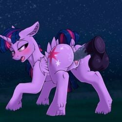 2017 alicorn animal_genitalia animal_pussy animated anus ass balls blush clitoris cutie_mark disembodied_penis dock equine equine_pussy feathered_wings feathers female feral friendship_is_magic grass hair half-closed_eyes horn looking_back male mammal multicolored_hair my_little_pony night outside penetration penis phenyanyanya pussy pussy_juice sky solo twilight_sparkle_(mlp) vaginal_penetration vaginal_penetration wings