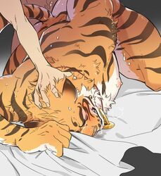 lin_hu male_only nekojishi tagme ting_zh