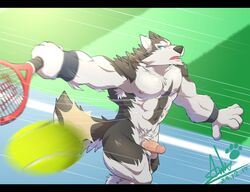 2017 abs absurd_res anthro biceps black_nose canine chest_tuft digital_media_(artwork) fur hair hi_res kemono male male_only mammal muscular muscular_male nipples oleola123 pecs penis simple_background tennis tuft wolf