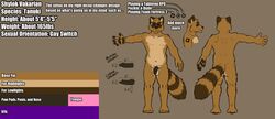 animal_genitalia animal_penis anthro balls brown_fur canine_penis edit erection fek flaccid fur humanoid_penis male mammal model_sheet nude penis shylok_vakarian solo tanuki