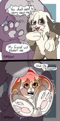 absurd_res anthro anthro_only anus big_breasts big_ears big_feet breasts brown_body brown_fur canid canine canis comic curled_up dialogue digital_media_(artwork) duo endosoma english_text feet female female/female forced freckles fur gd_(globaldonut34) globaldonut34 hi_res hindpaw implied_fatal inside inside_stomach instant_loss_2koma internal interspecies lagomorph larger_female leporid looking_at_viewer mammal mofumusubi nude null onomatopoeia open_mouth oral_vore pawpads paws purple_body purple_fur rabbit rumbling_stomach safe_vore same_size_vore sequence simple_background size_difference smaller_female smile soft_vore sound_effects speech_bubble tail text unwilling_prey vore white_body white_fur wolf x_anus