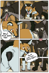 animal_genitalia animal_pussy black_pussy canine canine_pussy comic digital_media_(artwork) female feral fox fur male mammal pussy sheath tailshigh text tongue wolf