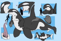 animal_genitalia animal_penis anthro aquatic black_body blue_eyes cetacean cetacean_genitalia cetacean_penis dolphin dorsal_fin erection fin furry genital_slit genitals hi_res imperatorcaesar lying mammal merfolk model_sheet mouth_closed narrowed_eyes oceanic_dolphin on_side open_mouth orca penis pink_penis pink_tongue side_view simple_background split_form tapering_penis tongue toothed_whale white_body
