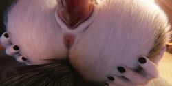 2:1 3d 3d_(artwork) 3d_animation animated anthro anus ass balls big_butt bodily_fluids canid canine canis covered_eyes digital_media_(artwork) domestic_dog duo female female_penetrated from_front_position fur furromantic genital_fluids genitals hi_res human human_on_anthro interspecies male male/female male_penetrating mammal mating_press nude open_mouth overlord_(maruyama) overlord_(series) penetration penile penile_penetration penis penis_in_vagina pestonya_shortcake_wanko sex short_playtime sound tagme tail vaginal_penetration video vulva white_body white_fur widescreen
