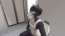 3d animated bathroom beastars fart gay joemike legoshi_(beastars) male male_only peeing scat sound tagme toilet toilet_use video yaoi