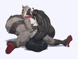 absurd_res anthro balls big_balls big_penis bodily_fluids clothing collar concosive ear_piercing ear_ring erection flexible flip_flops footwear fur genitals grey_body grey_fur hi_res huge_balls huge_penis humanoid_genitalia humanoid_penis hyper hyper_balls hyper_genitalia hyper_penis male mammal markings open_mouth penis piercing pink_eyes procyonid raccoon ring_(marking) ring_piercing ringed_tail sandals shoes simple_background solo splits spread_legs spreading striped_markings striped_tail stripes sweat sweatdrop tail tail_markings thick_thighs white_background wide_hips
