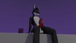 2017 3d animal_genitalia animal_penis anthro balls blue_eyes canine canine_penis cup knot looking_at_viewer male male_only mammal nude penis simple_background sitting solo ultrayanto wolf
