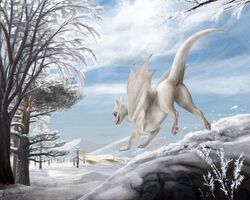 anus day detailed_background digital_media_(artwork) dragon female feral fur kodardragon outside pussy scalie sky smile snow solo tree western_dragon white_fur