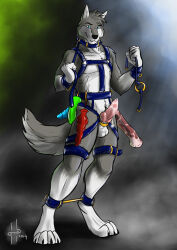 2014 absurd_res animal_dildo animal_genitalia animal_penis animal_sex_toy anthro balls black_nose blue_collar blue_eyes blue_harness blue_leash canid canine canine_dildo canine_genitalia canine_penis canis collar dated dildo equine_dildo erection front_view fur gag genitals grey_body grey_fur grey_tail harness hi_res holding_gag hufnaar knot leash looking_at_viewer male male_anthro mammal mouth_closed penis pink_penis restraints ring_gag sex_toy simple_background slim_anthro slim_male solo spreader_bar standing tail white_balls white_body white_fur white_tail wolf