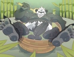 pangoro from nintendo by anti dev