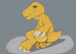 agumon anus backsack balls claws digimon dreiker flaccid male male_only orange_skin penis precum presenting_hindquarters solo toes uncut