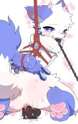 2025 absurd_res aellaellae ambiguous_anthro ambiguous_gender ambiguous_species anal anal_fluids anal_penetration anthro arms_tied bdsm biped blue_body blue_eyes blue_fur bodily_fluids bondage bound chain chained collar digital_drawing_(artwork) digital_media_(artwork) dildo dildo_in_ass dildo_insertion feet fur half-closed_eyes hands_behind_back heart_symbol hearts_around_head hi_res hindpaw kneeling looking_at_viewer mammal multicolored_body multicolored_fur narrowed_eyes nude nude_ambiguous nude_anthro object_in_ass paws penetration plantigrade rear_view restraints rope rope_bondage rope_harness sex_toy sex_toy_in_ass sex_toy_insertion shaded shaking slim slim_ambiguous slim_anthro soft_shading solo suspension suspension_bondage tears tremble_lines trembling two_tone_body two_tone_fur watery_eyes white_body white_fur