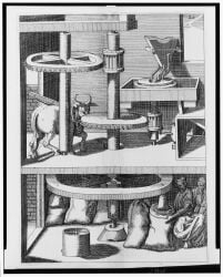 1617 17th_century 2_horns absurd_res ancient_art backsack balls barefoot beard bound bovid bovine brick brick_wall cattle clothed clothed_human clothed_male clothing cloven_hooves detailed_background facial_hair feet feral gear genitals group hair hat hatching_(art) headgear headwear hi_res hooves horn human humanoid_feet humanoid_hands inside machine male male_feral male_human mammal monochrome plantigrade plow_yoke public_domain quadruped sack shaded tail tail_tuft technical_illustration tied_to_pole traditional_media_(artwork) trio tuft unguligrade unknown_artist walking wall_(structure)