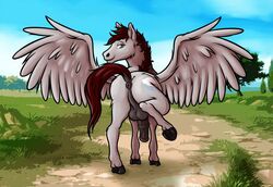 anatomically_correct animal_genitalia animal_penis anus ass cloudburst equine equine_penis feral horsecock male mammal pegasus penis puffy_anus raised_tail solo wings xexus