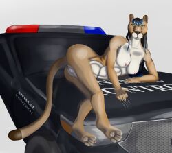 Booru post from rule34.xxx