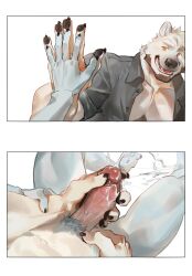 2026 5_fingers anthro bear beard black_nose blue_body blue_fur bodily_fluids canid canine canis claws clothed clothing comparing comparing_hands crotch_tuft cum cumshot digital_media_(artwork) duo ejaculation facial_hair finger_claws fingerpads fingers first_person_view fur genital_fluids genitals glans hand_on_penis handjob hi_res humanoid_genitalia humanoid_penis jacket male male/male male_pov mammal motion_lines navel open_clothing open_jacket open_topwear pawpads penile penis polar_bear seatohao sequence sex simple_background smile topwear tuft ursine vein veiny_penis white_background white_body white_fur wolf