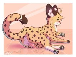 absurd_res ahoge animal_genitalia animal_penis anus arch_(thelonearch) ass balls big_ears black_pawpads brown_body brown_fur circle_eyebrows dipstick_tail eyebrows felid feline feline_genitalia feline_penis femboy feral fur gay gay_anal gay_male gay_sex genitals green_eyes hair hi_res homosexual homosexual_male homosexual_sex looking_back lying male male/male male_only male_penetrated mammal markings on_side pawpads paws penile_spines penis presenting presenting_hindquarters raised_tail rear_view reflection serval solo spots spotted_body spotted_fur tail tail_markings tan_body tan_fur thelonearch yellow_body yellow_fur