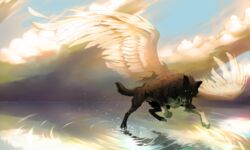 2013 animal_genitalia black_fur black_nose canine day digital_media_(artwork) feathered_wings feathers feral fur grypwolf male mammal outside paws sheath sky solo water white_feathers wings wolf
