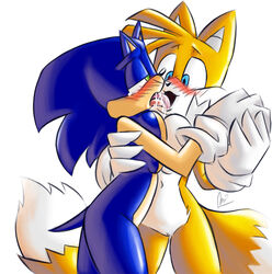 sonic the hedgehog from sega by artist request