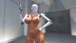 3d brown_skin dark-skinned_female dark_skin female haydee haydee_(game) pussy roshblue source_filmmaker wide_hips