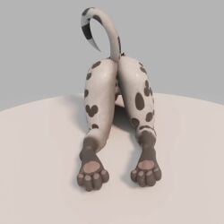 3d_(artwork) absurd_res anal_wink animated anthro anus ass backsack balls canid canine canis clenching_balls curling_toes curvy_figure digital_media_(artwork) domestic_dog feet femboy fur genitals hi_res humanoid_genitalia male mammal markings paradigmthedragon pawpads paws penis solo spots spotted_body spotted_fur sunsetsarsaparilla_(modeler) tagme tail tail_motion tailwag throbbing throbbing_penis video