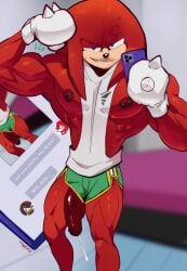 knuckles the echidna from sonic (series) by idoraad