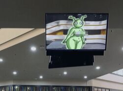 1girls alien alien_girl antennae bald bald_female belly belly_button black_eyes blank_expression breasts censored censored_nipples censored_pussy chetoh completely_nude embarrassed embarrassed_naked_female embarrassed_nude_female enf female female_only green_skin marsha_(chetoh) martian monitor naked naked_female nude nude_female oc on_screen original original_character photo_background pixelated