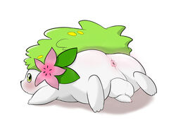 1boy 2018 anal anus ass blush duo feet furry hair hedgehog legendary_pokemon luckypupa male male_only nintendo nude penis pokémon_(species) pokemon pokemon_(species) pokemon_dppt shaymin simple_background solo testicles video_games white_background