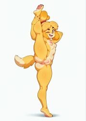 1girls ai_generated alternate_version_available animal_crossing anthro anus black_eyebrows black_eyes breasts breedorbred canid canine clawed_fingers claws comfyui domestic_dog female female_focus flexible furry hi_res isabelle_(animal_crossing) navel nude open_mouth pawpads paws petite posing puffy_areola pussy pussy_blush shadow simple_background small_breasts standing_split tail toned_body two-tone_body vulva white_background winking winking_at_viewer yellow_body yoga_pose