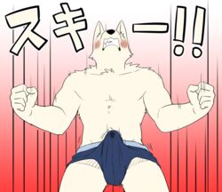 1boy blush bulge crotch erection furry male_focus manmosumarimo solo tagme topless underwear