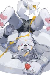 absurd_res anthro athletic balls_outline bandage bandaged_arm black_clothing black_underwear blue_eyes boxer_briefs bulge canid canine canis clothed clothing cutlery detailed_bulge domestic_dog erection food front_view fruit genital_outline hi_res kemono kitchen_utensils male mammal nose_scar on_plate one_eye_closed penis_outline plant puppyo0920 sauce sauce_on_body signature simple_background smile solo spoon tight_underwear tongue tongue_out tools topless underwear upside-down white_background wristband