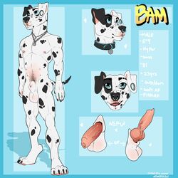 animal_genitalia animal_penis anthro balls bam bambii_dog canine canine canine_penis dalmatian ear_piercing facial_piercing gauged_ear hi_res humanoid_penis knot lip_piercing male mammal model_sheet multi_nipple nipple_piercing nipples nose_piercing nose_ring penis piercing sheath solo uncut