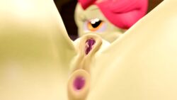 2018 3d absurd_res anatomically_correct anatomically_correct_anus anatomically_correct_pussy animal_genitalia animal_pussy anthro anus apple_bloom_(mlp) ass clitoral_winking clitoris close-up darkskye_(artist) earth_pony equine female friendship_is_magic gaping gaping_anus gaping_pussy hair hi_res horse horsepussy looking_at_viewer mammal my_little_pony nude pony presenting presenting_anus presenting_pussy pussy red_hair solo source_filmmaker vaginal_penetration