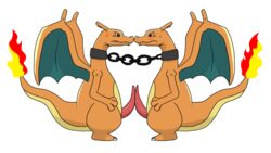 charizard from nintendo