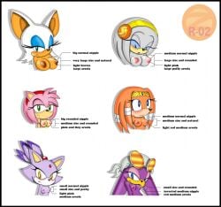 amy rose from project x love potion disaster by zetar02