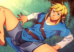 1boy breath_of_the_wild champion's_tunic link link_(breath_of_the_wild) lvlv male_focus male_only nintendo sheikah_boxers tagme the_legend_of_zelda underwear